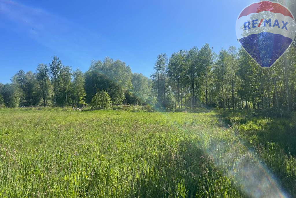 Działka Sprzedaż Budy Michałowskie Karliczka 10