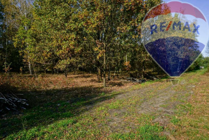 Działka Sprzedaż Puszcza Mariańska Akacjowa