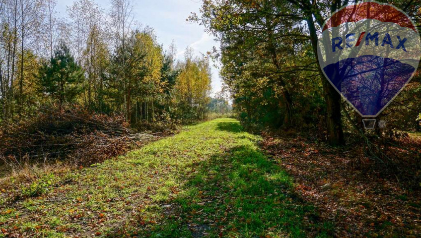 Działka Sprzedaż Puszcza Mariańska Akacjowa